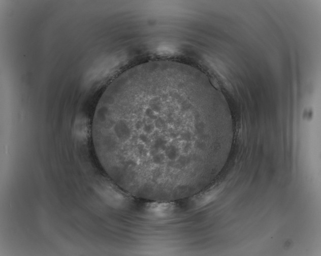 X0000091350135200708171439