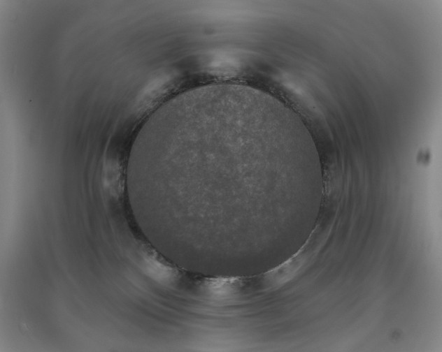 X0000091350136200708171439