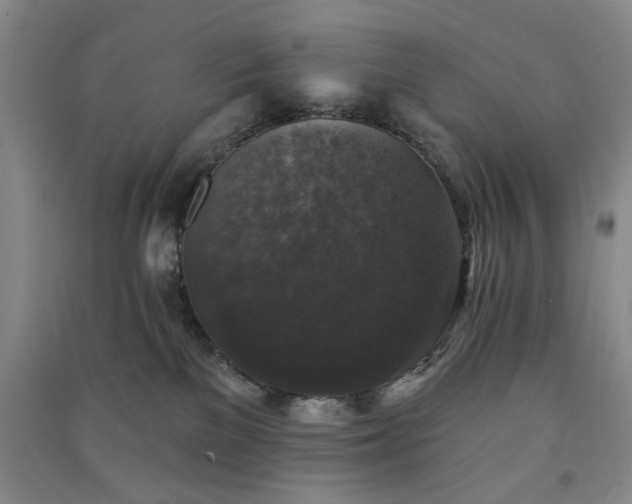 X0000091350137200708171439