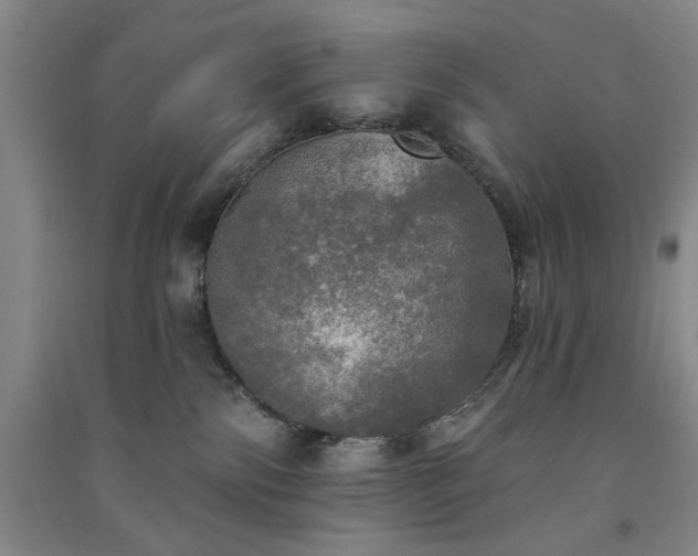 X0000091350138200708171439