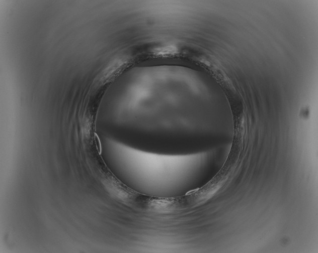 X0000091350139200708171439