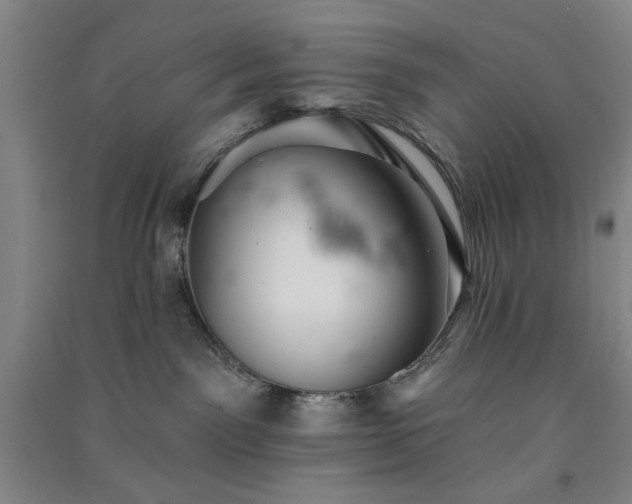 X0000091350141200708171439