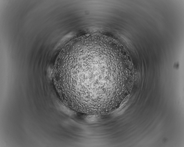 X0000091350142200708171439
