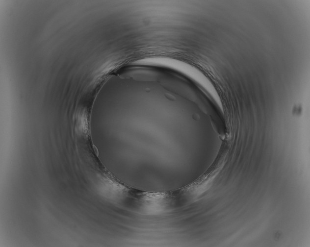 X0000091350143200708171439