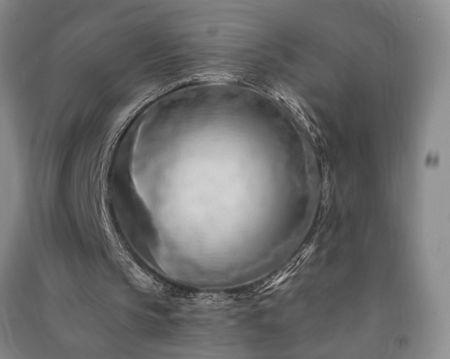 X0000091350145200708171438