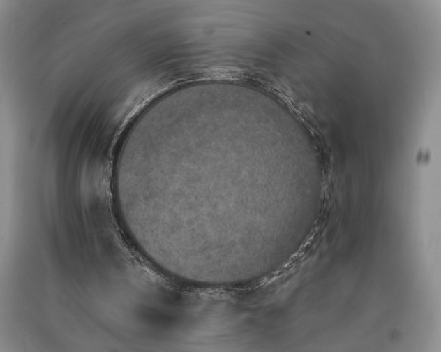 X0000091350146200708171438