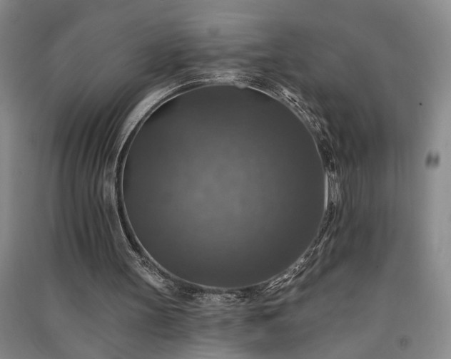 X0000091350147200708171438