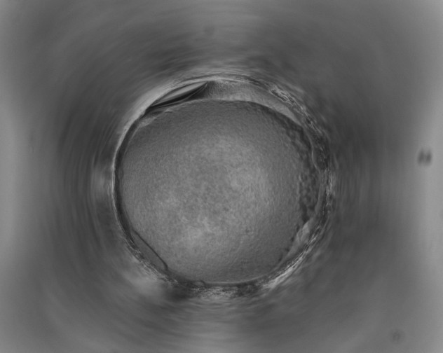 X0000091350148200708171438