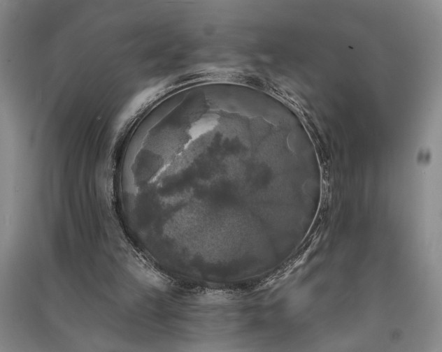 X0000091350149200708171438