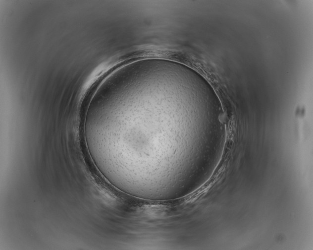 X0000091350150200708171438
