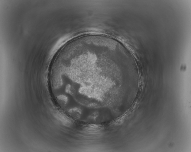 X0000091350151200708171438