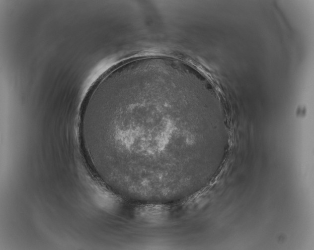 X0000091350152200708171438