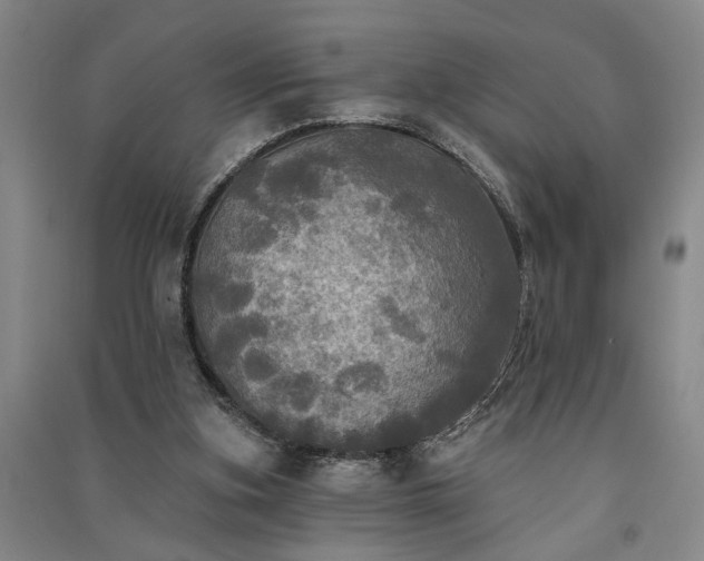 X0000091350155200708171439