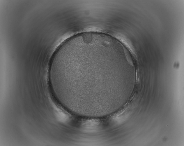 X0000091350156200708171439