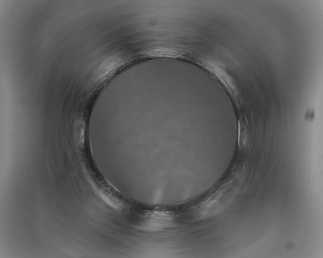 X0000091350157200708171439
