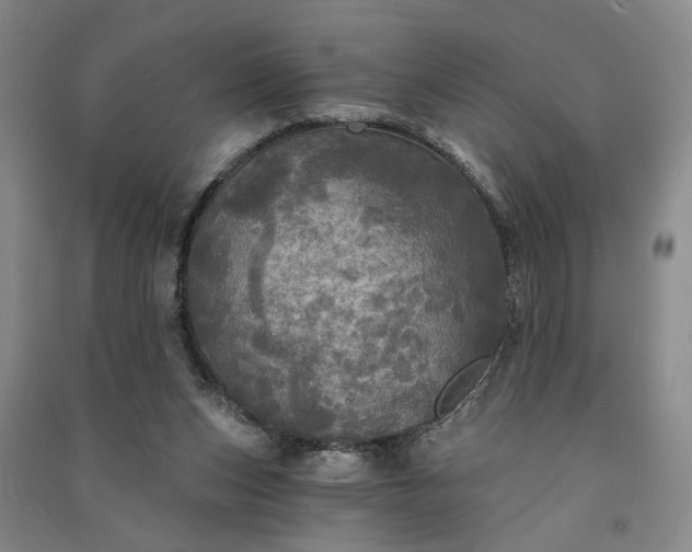 X0000091350159200708171439