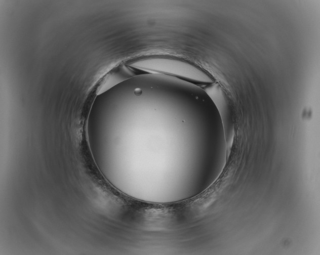 X0000091350160200708171439