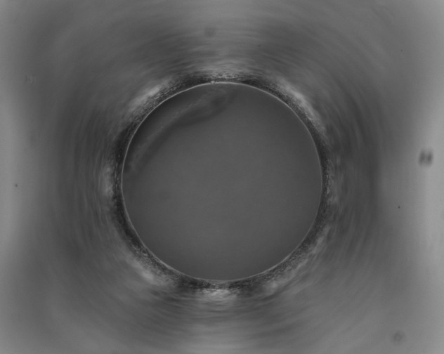 X0000091350161200708171439