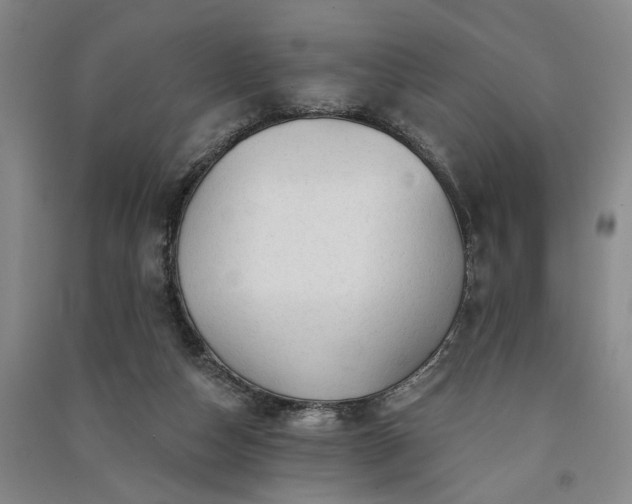 X0000091350162200708171439