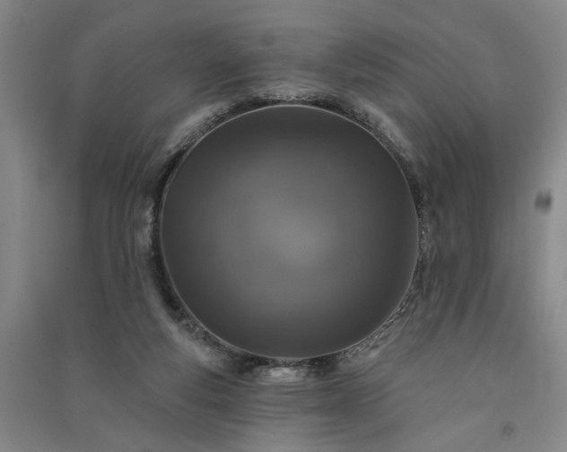 X0000091350163200708171439