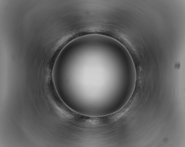 X0000091350164200708171439