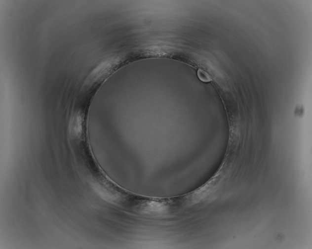 X0000091350166200708171439