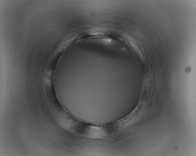 X0000091350167200708171439