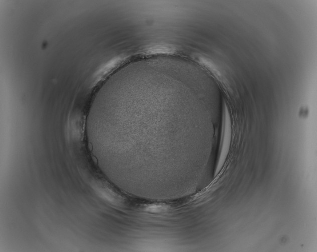 X0000091350168200708171439
