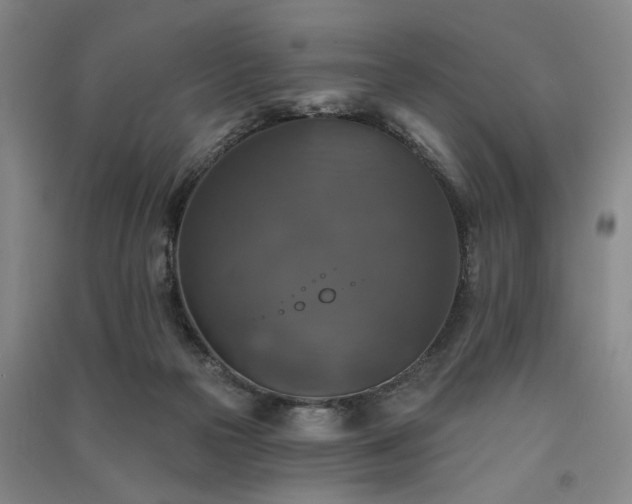 X0000091350169200708171439