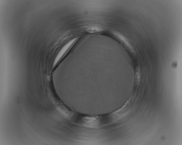 X0000091350170200708171439
