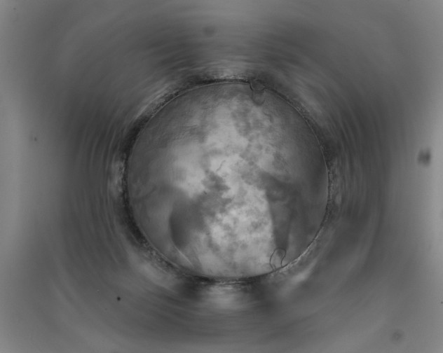 X0000091350171200708171439