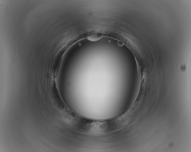 X0000091350172200708171439