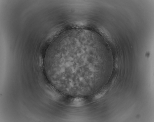 X0000091350173200708171439