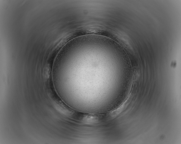 X0000091350174200708171439