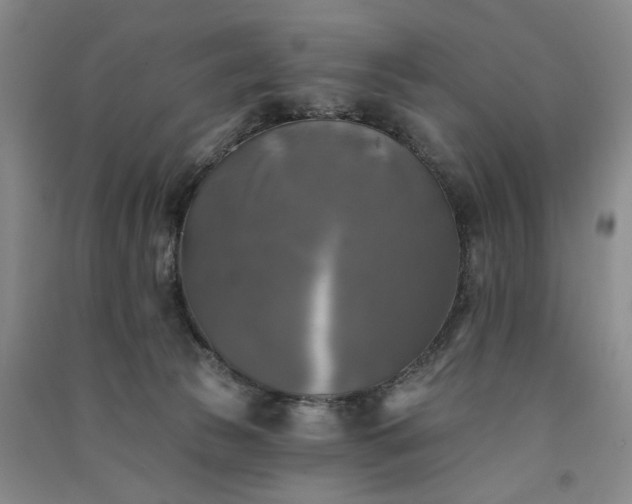 X0000091350177200708171439