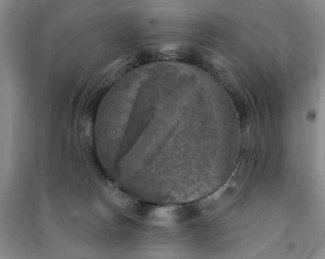 X0000091350178200708171439