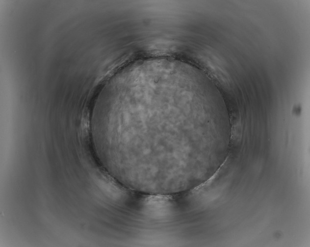 X0000091350179200708171439