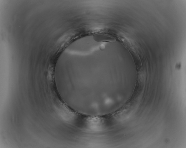 X0000091350181200708171439