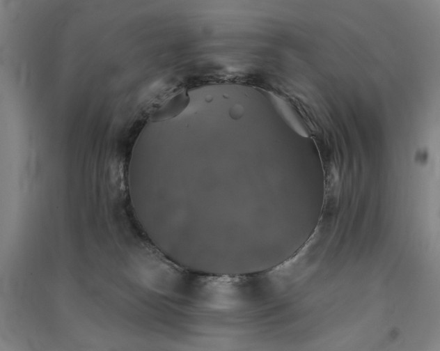 X0000091350182200708171439