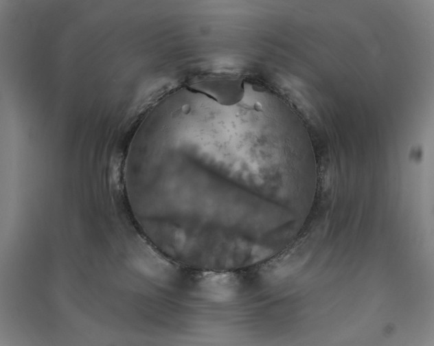 X0000091350185200708171439