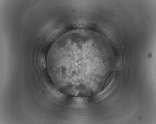 X0000091350187200708171439