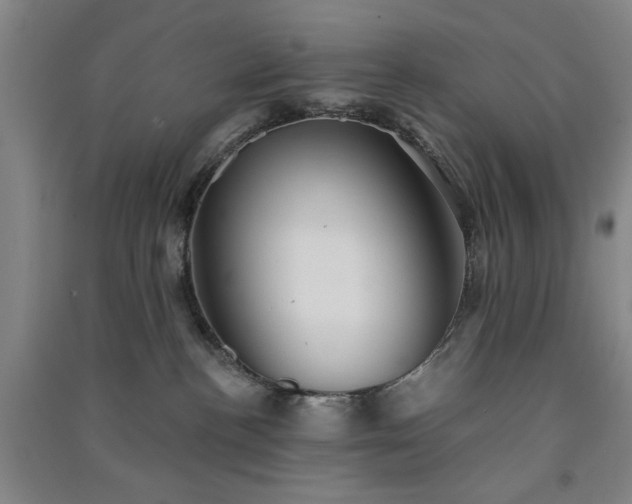 X0000091350188200708171439