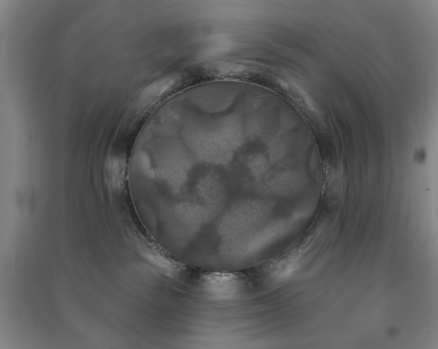 X0000091350189200708171439