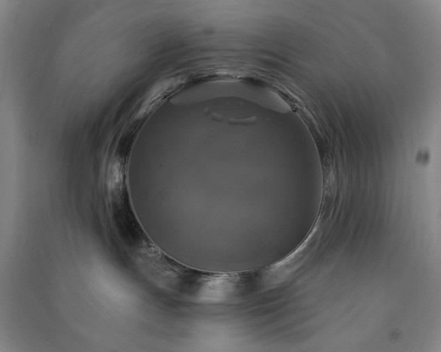 X0000091350191200708171439