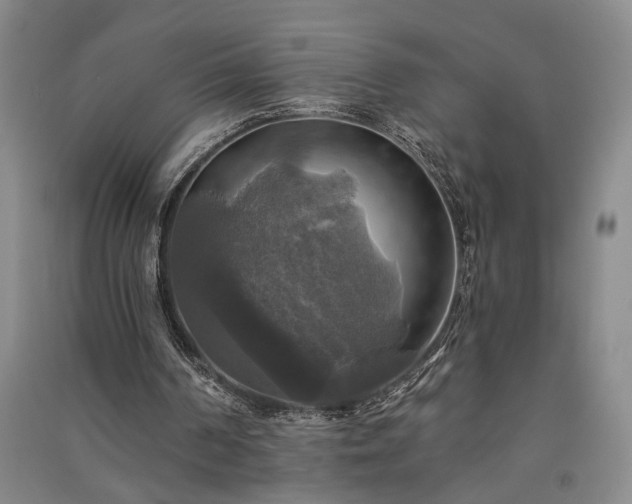 X0000091350194200708171438