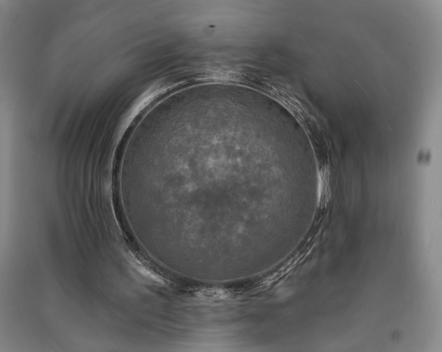 X0000091350195200708171438