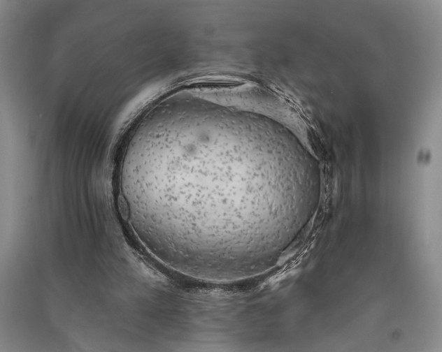 X0000091350197200708171438