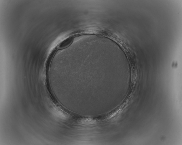 X0000091350198200708171438