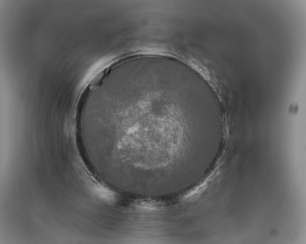 X0000091350199200708171438