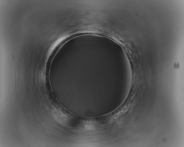 X0000091350200200708171438